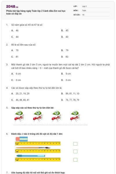 Phiếu bài tập hàng ngày Toán lớp 2 Cánh diều Em vui học toán có đáp án