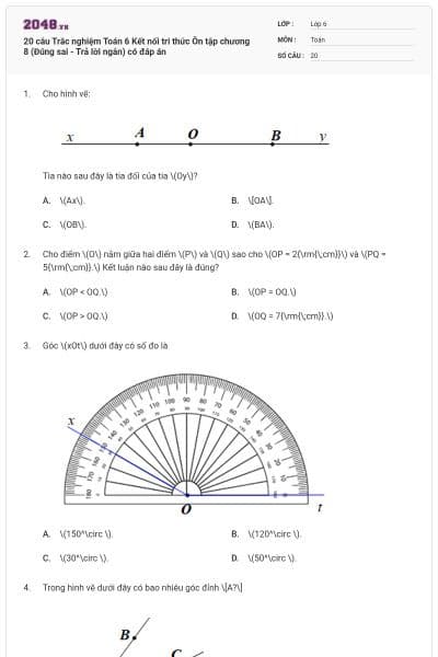 20 câu Trắc nghiệm Toán 6 Kết nối tri thức Ôn tập chương 8 (Đúng sai - Trả lời ngắn) có đáp án