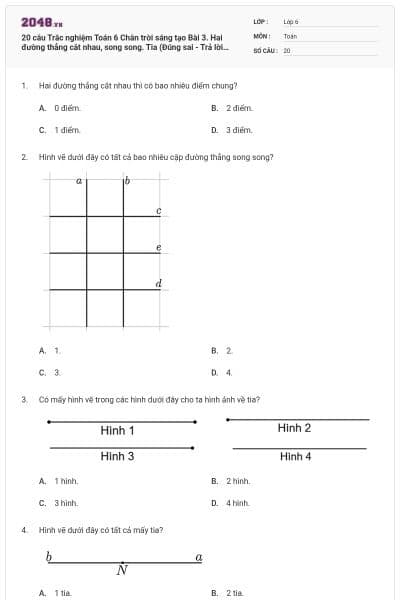 20 câu Trắc nghiệm Toán 6 Chân trời sáng tạo Bài 3. Hai đường thẳng cắt nhau, song song. Tia (Đúng sai - Trả lời ngắn) có đáp án