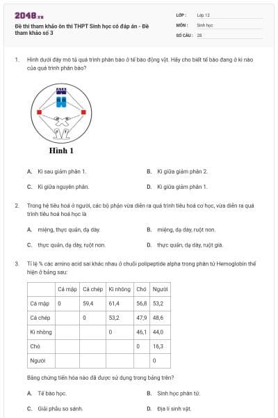 Đề thi tham khảo ôn thi THPT Sinh học có đáp án - Đề tham khảo số 3