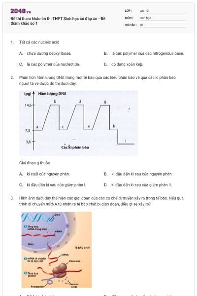 Đề thi tham khảo ôn thi THPT Sinh học có đáp án - Đề tham khảo số 1