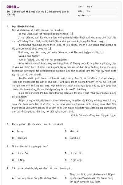 Bộ 10 đề thi cuối kì 2 Ngữ Văn lớp 8 Cánh diều có đáp án (Đề 10)