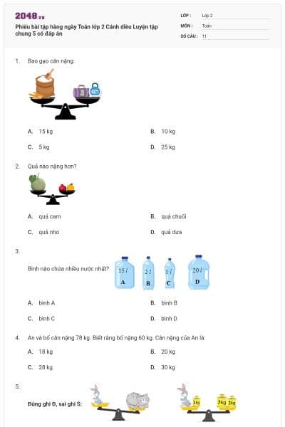 Phiếu bài tập hàng ngày Toán lớp 2 Cánh diều Luyện tập chung 5 có đáp án