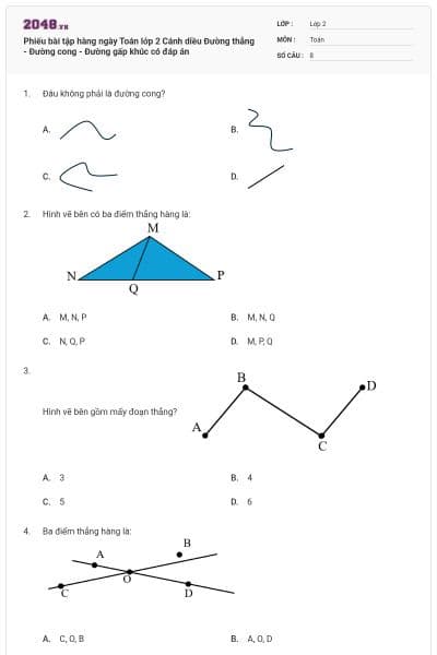 Phiếu bài tập hàng ngày Toán lớp 2 Cánh diều Đường thẳng - Đường cong - Đường gấp khúc có đáp án