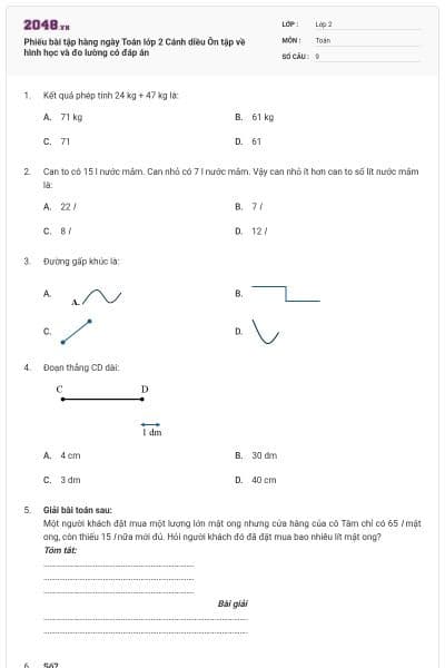 Phiếu bài tập hàng ngày Toán lớp 2 Cánh diều Ôn tập về hình học và đo lường có đáp án