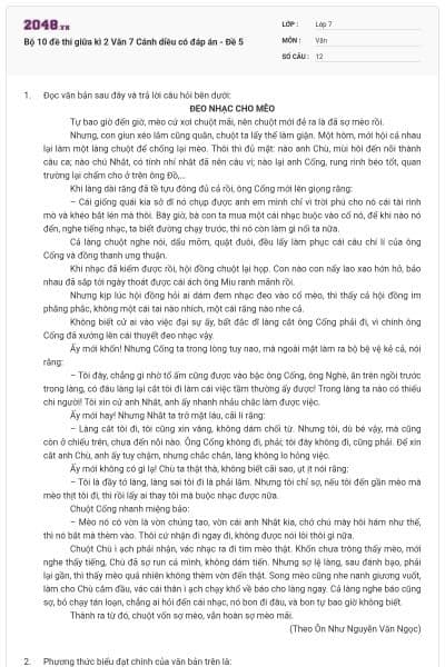 Bộ 10 đề thi giữa kì 2 Văn 7 Cánh diều có đáp án - Đề 5