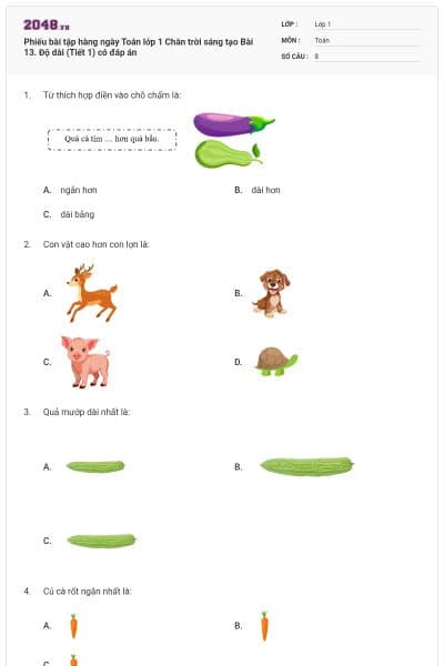 Phiếu bài tập hàng ngày Toán lớp 1 Chân trời sáng tạo Bài 13. Độ dài (Tiết 1) có đáp án