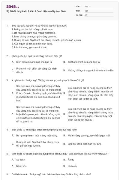 Bộ 10 đề thi giữa kì 2 Văn 7 Cánh diều có đáp án - Đề 6