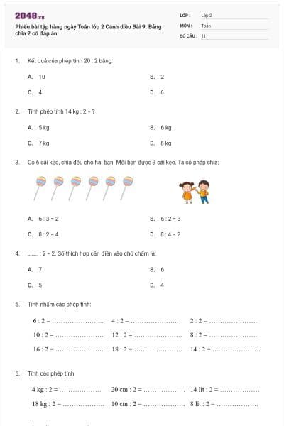 Phiếu bài tập hàng ngày Toán lớp 2 Cánh diều Bài 9. Bảng chia 2 có đáp án