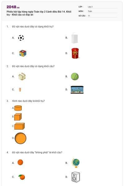 Phiếu bài tập hàng ngày Toán lớp 2 Cánh diều Bài 14. Khối trụ - Khối cầu có đáp án