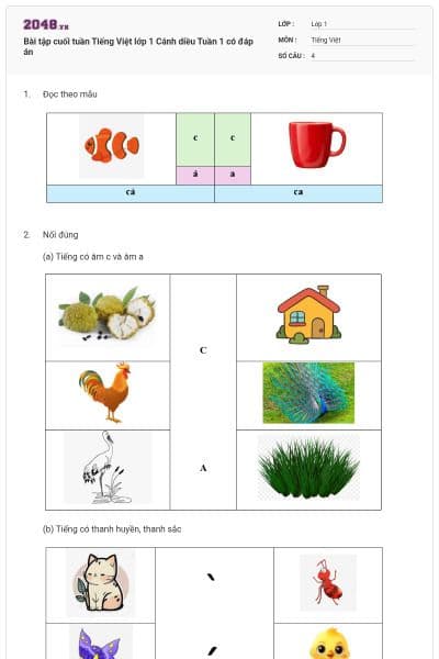 Bài tập cuối tuần Tiếng Việt lớp 1 Cánh diều Tuần 1 có đáp án