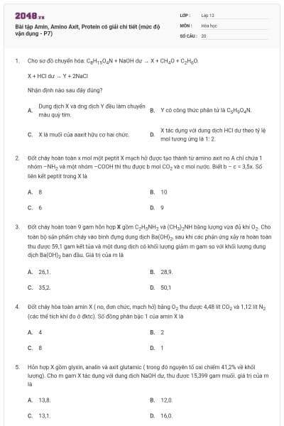 Bài tập Amin, Amino Axit, Protein có giải chi tiết (mức độ vận dụng - P7)