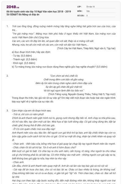 Đề thi tuyển sinh vào lớp 10 Ngữ Văn năm học 2018 - 2019 Sở GD&ĐT Đà Nẵng có đáp án