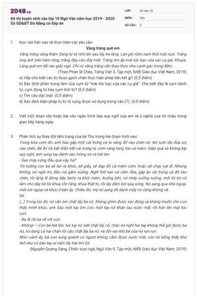 Đề thi tuyển sinh vào lớp 10 Ngữ Văn năm học 2019 - 2020 Sở GD&ĐT Đà Nẵng có đáp án
