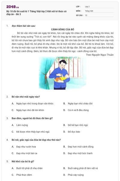 Bộ 10 đề thi cuối kì 1 Tiếng Việt lớp 2 Kết nối tri thức có đáp án - Đề 3