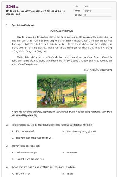 Bộ 10 đề thi cuối kì 2 Tiếng Việt lớp 2 Kết nối tri thức có đáp án - Đề 8