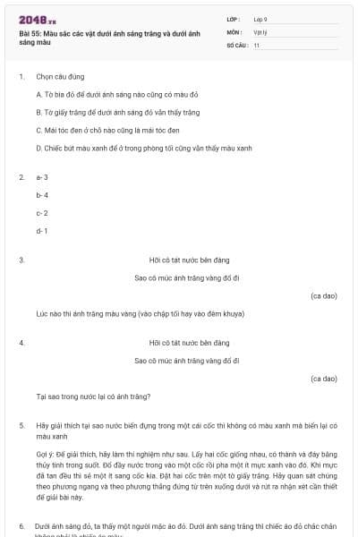 Bài 55: Màu sắc các vật dưới ánh sáng trắng và dưới ánh sáng màu