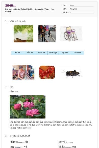 Bài tập cuối tuần Tiếng Việt lớp 1 Cánh diều Tuần 12 có đáp án