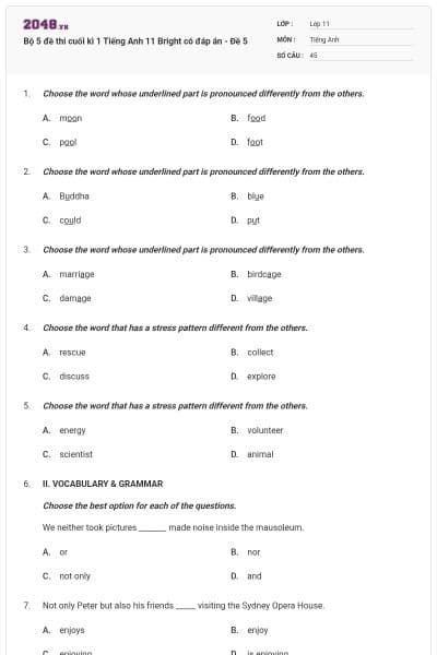 Bộ 5 đề thi cuối kì 1 Tiếng Anh 11 Bright có đáp án - Đề 5