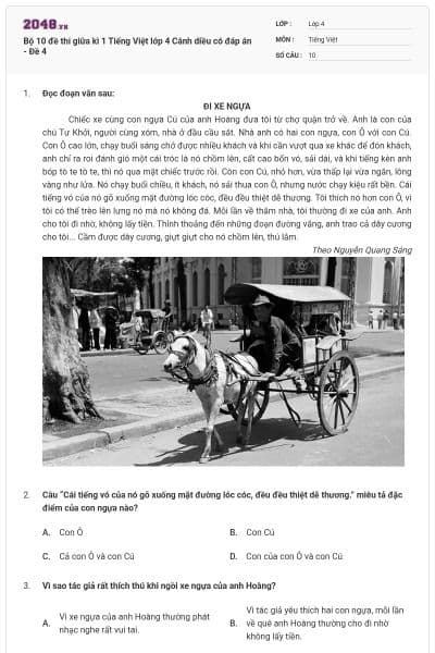 Bộ 10 đề thi giữa kì 1 Tiếng Việt lớp 4 Cánh diều có đáp án - Đề 4