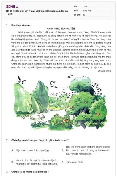 Bộ 10 đề thi giữa kì 1 Tiếng Việt lớp 4 Cánh diều có đáp án - Đề 6