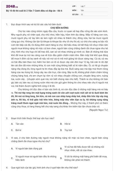 Bộ 10 đề thi cuối kì 2 Văn 7 Cánh diều có đáp án - Đề 6