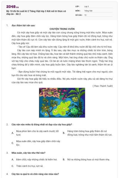 Bộ 10 đề thi cuối kì 2 Tiếng Việt lớp 3 Kết nối tri thức có đáp án - Đề 2