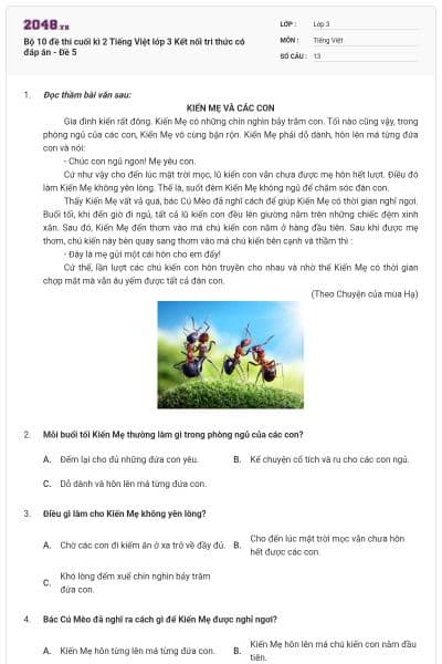 Bộ 10 đề thi cuối kì 2 Tiếng Việt lớp 3 Kết nối tri thức có đáp án - Đề 5