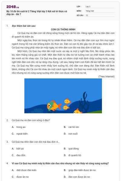 Bộ 10 đề thi cuối kì 2 Tiếng Việt lớp 3 Kết nối tri thức có đáp án - Đề 7