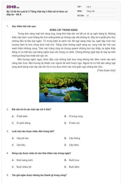 Bộ 10 đề thi cuối kì 2 Tiếng Việt lớp 3 Kết nối tri thức có đáp án - Đề 8