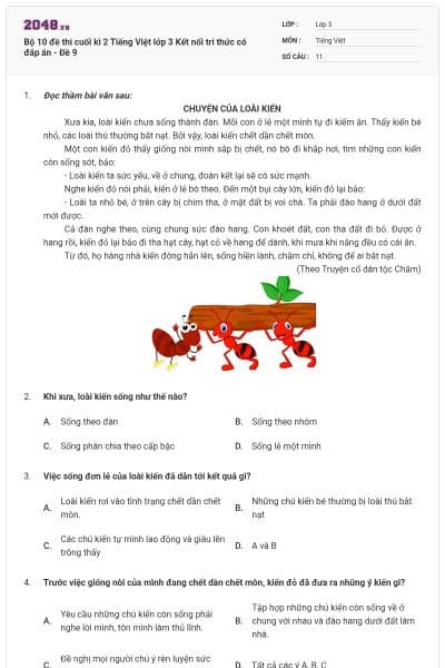 Bộ 10 đề thi cuối kì 2 Tiếng Việt lớp 3 Kết nối tri thức có đáp án - Đề 9