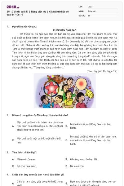 Bộ 10 đề thi cuối kì 2 Tiếng Việt lớp 3 Kết nối tri thức có đáp án - Đề 10