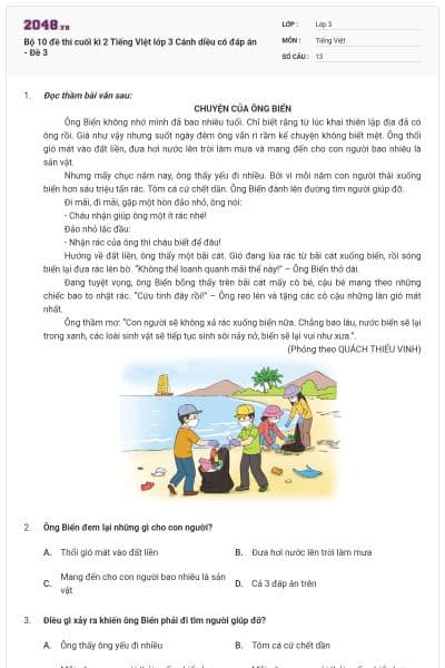 Bộ 10 đề thi cuối kì 2 Tiếng Việt lớp 3 Cánh diều có đáp án - Đề 3