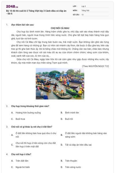 Bộ 10 đề thi cuối kì 2 Tiếng Việt lớp 3 Cánh diều có đáp án - Đề 6