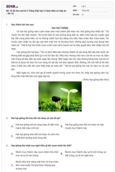 Bộ 10 đề thi cuối kì 2 Tiếng Việt lớp 3 Cánh diều có đáp án - Đề 10