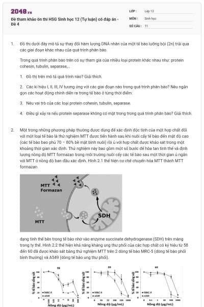 Đề tham khảo ôn thi HSG Sinh học 12 (Tự luận) có đáp án - Đề 4