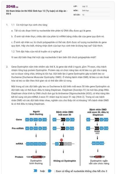 Đề tham khảo ôn thi HSG Sinh học 12 (Tự luận) có đáp án - Đề 6