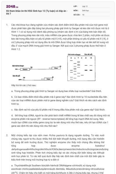 Đề tham khảo ôn thi HSG Sinh học 12 (Tự luận) có đáp án - Đề 7