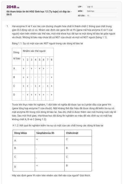 Đề tham khảo ôn thi HSG Sinh học 12 (Tự luận) có đáp án - Đề 8