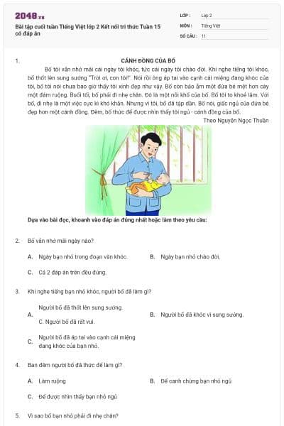 Bài tập cuối tuần Tiếng Việt lớp 2 Kết nối tri thức Tuần 15 có đáp án