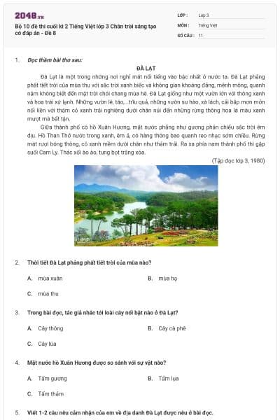 Bộ 10 đề thi cuối kì 2 Tiếng Việt lớp 3 Chân trời sáng tạo có đáp án - Đề 8