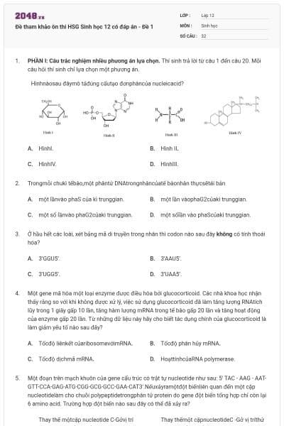 Đề tham khảo ôn thi HSG Sinh học 12 có đáp án - Đề 1