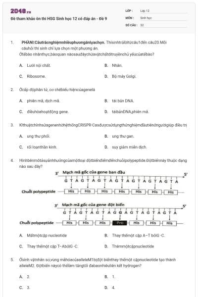 Đề tham khảo ôn thi HSG Sinh học 12 có đáp án - Đề 9