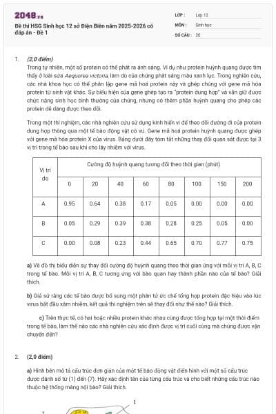 Đề thi HSG Sinh học 12 sở Điện Biên năm 2025-2026 có đáp án - Đề 1
