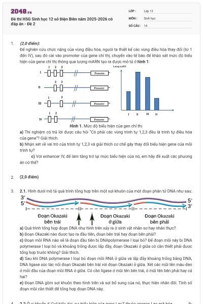 Đề thi HSG Sinh học 12 sở Điện Biên năm 2025-2026 có đáp án - Đề 2