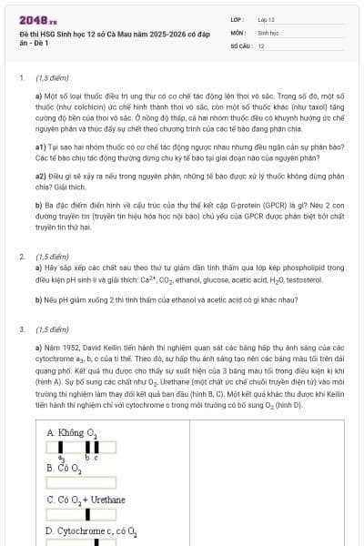 Đề thi HSG Sinh học 12 sở Cà Mau năm 2025-2026 có đáp án - Đề 1