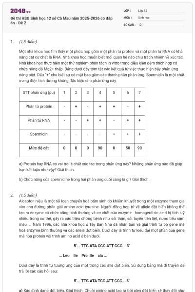 Đề thi HSG Sinh học 12 sở Cà Mau năm 2025-2026 có đáp án - Đề 2
