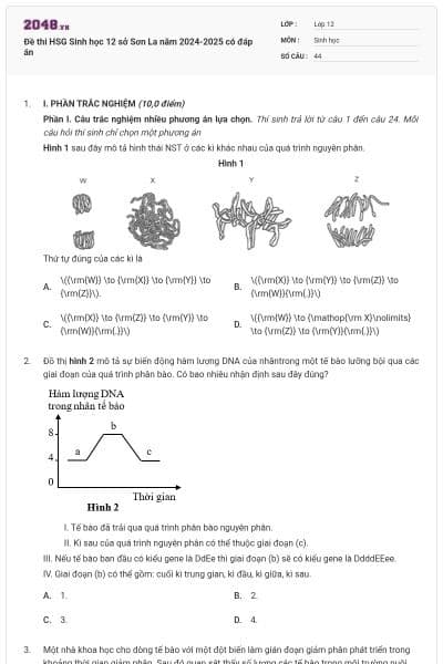 Đề thi HSG Sinh học 12 sở Sơn La năm 2024-2025 có đáp án