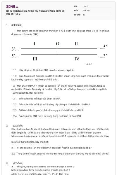 Đề thi HSG Sinh học 12 Sở Tây Ninh năm 2025-2026 có đáp án - Đề 2