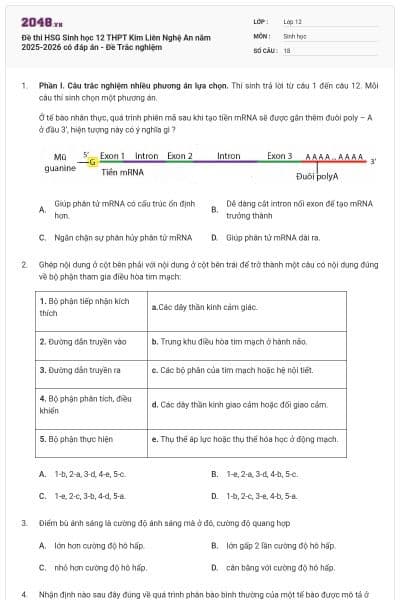 Đề thi HSG Sinh học 12 THPT Kim Liên Nghệ An năm 2025-2026 có đáp án - Đề Trắc nghiệm